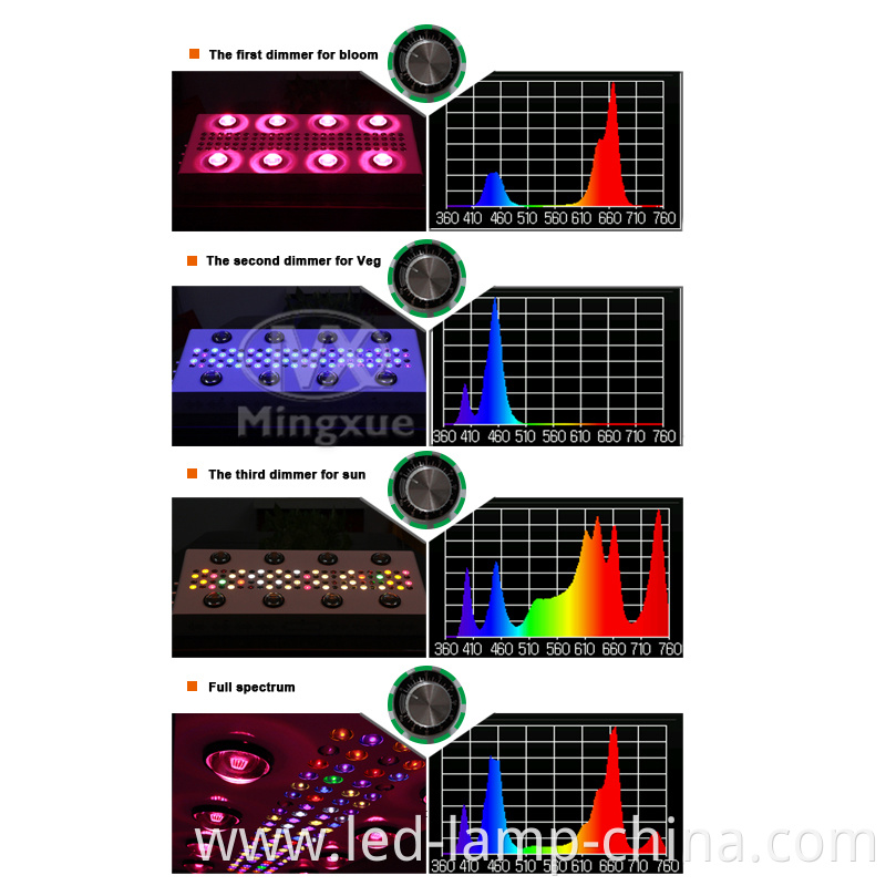 Spectrum picture of 4 phases